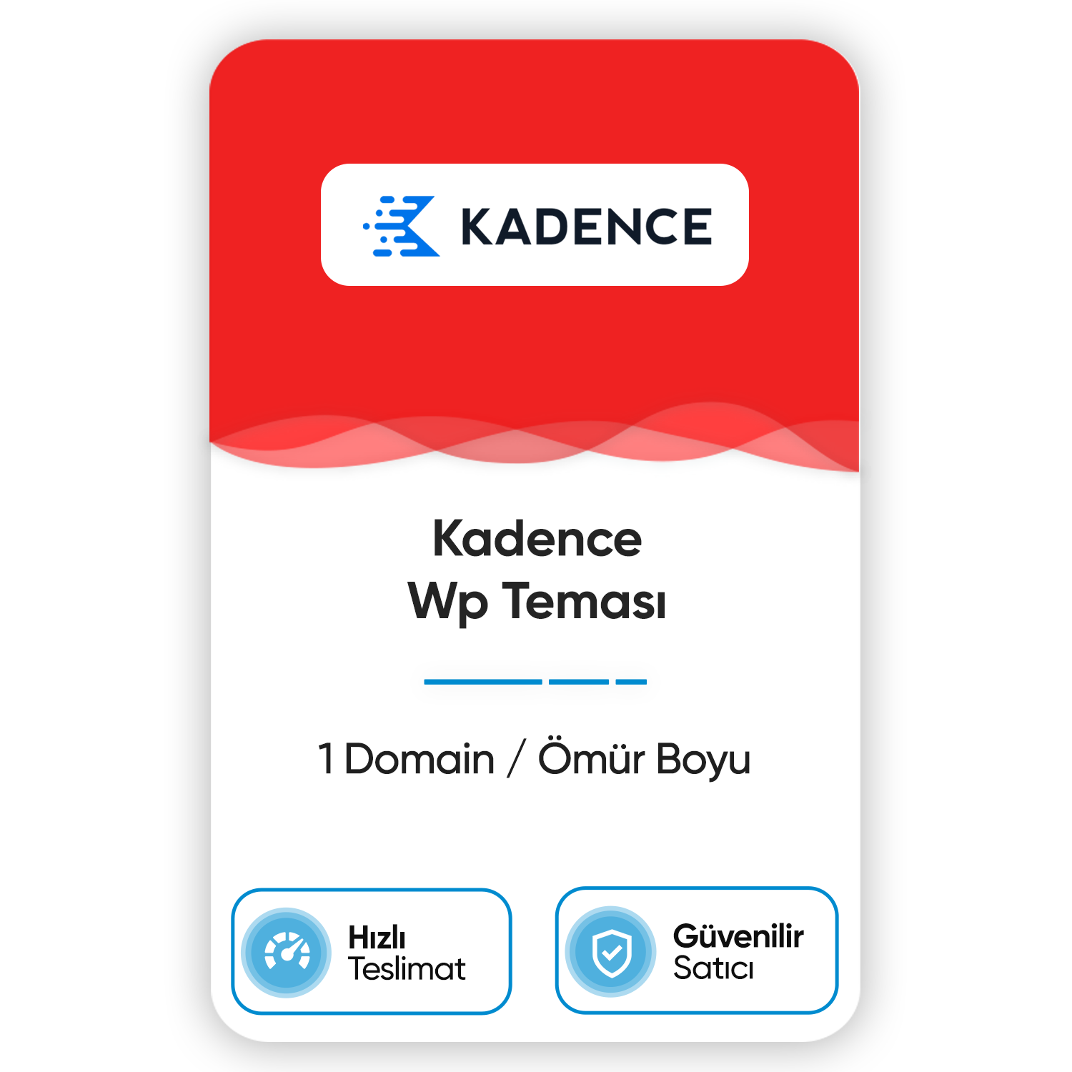 kadence-wp-temasi-1-domain-omur-boyu.png