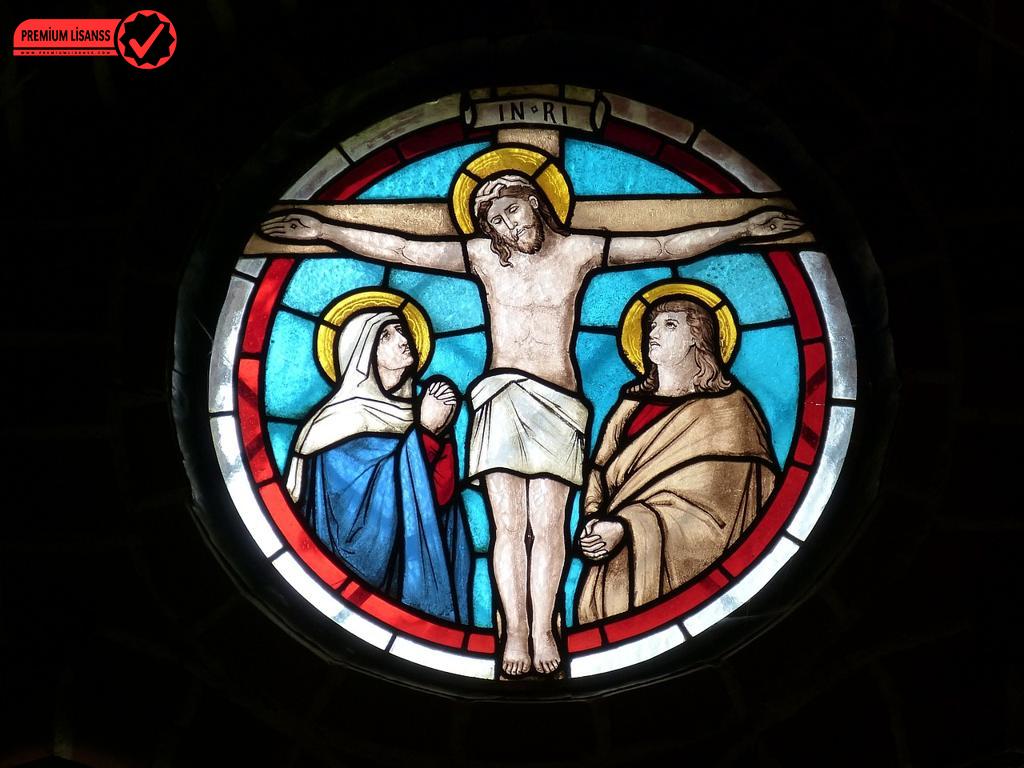 Windows Oem Lisans Nedir? Nasıl Alınır?