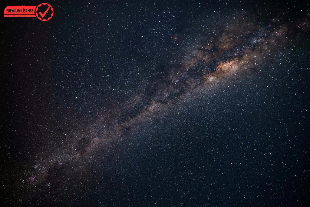 Wp Rocket Ile Web Sitenizi Hızlandırın: Yüksek Performans Ve Kullanıcı Deneyimi